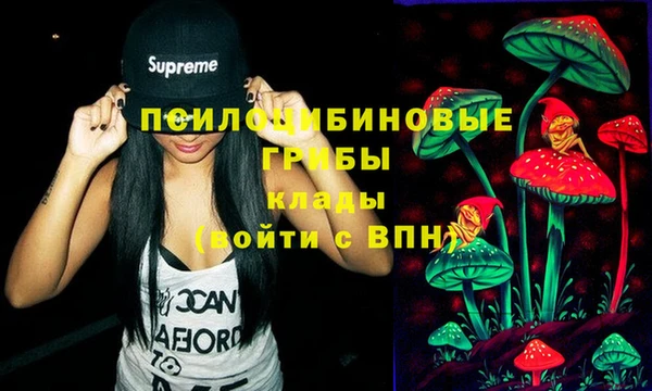 амф Балахна