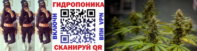 дарнет шоп  Хвалынск  Бошки Шишки THC 21% 